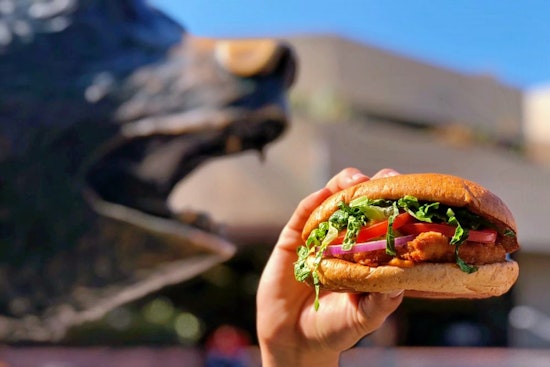 National chain Veggie Grill brings vegan fare to Westwood