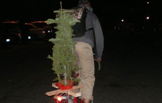 XMas Tree Shopping SF Style