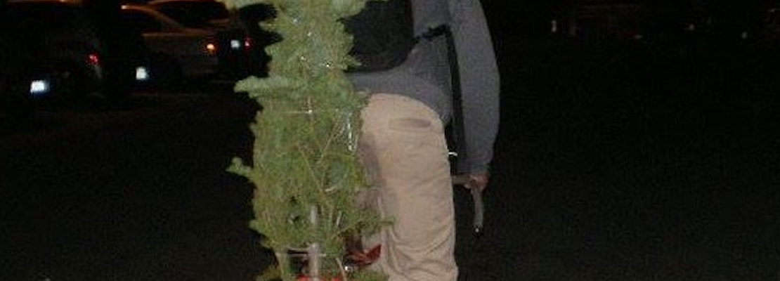 XMas Tree Shopping SF Style