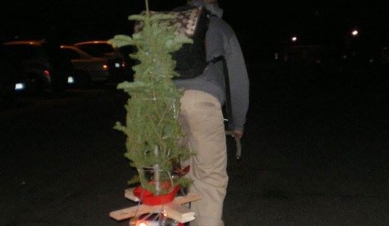 XMas Tree Shopping SF Style