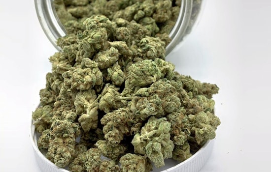 Chronic Connect cannabis dispensary debuts in West Anaheim