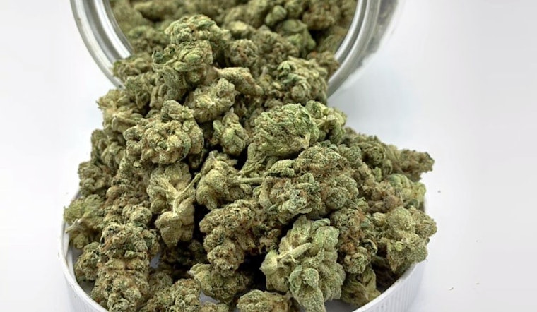 Chronic Connect cannabis dispensary debuts in West Anaheim