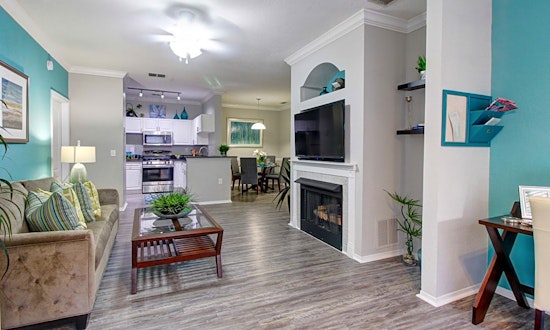 Apartments for rent in Tampa: What will $1,500 get you?