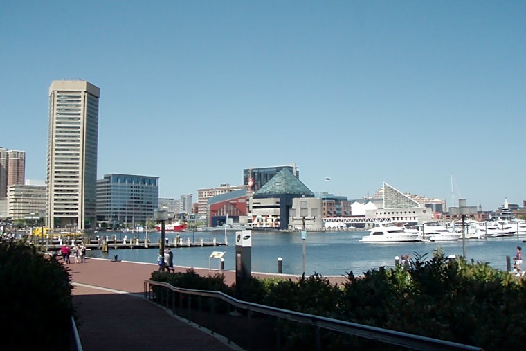 Top Baltimore news: Rapper pleads guilty to fraud charges; beloved sea turtle Calypso dies; more