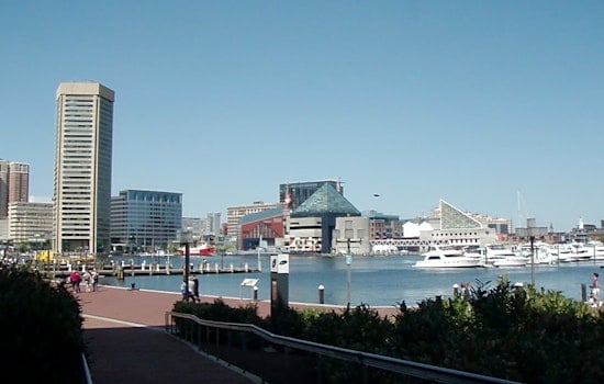 Top Baltimore news: Rapper pleads guilty to fraud charges; beloved sea turtle Calypso dies; more