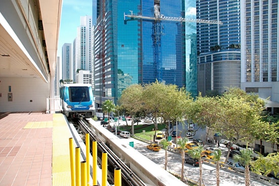 Top Miami news: Mayor's spokesman resigns in wake of investigation; zoo welcomes baby meerkats; more