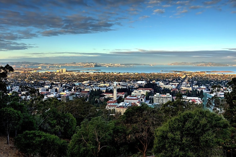 Top Berkeley news: City won't name street 'Avocado Toast'; stretch of Telegraph may ban cars; more
