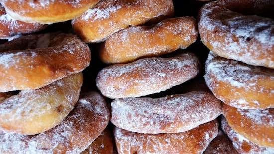 Top Detroit news: 2 arrested, 21 dogs rescued from alleged dog fighting ring; cider doughnuts coming