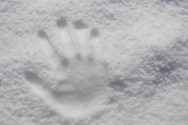 Top Denver news: Mobile market provides free food to students; snowfall totals 30-plus inches; more