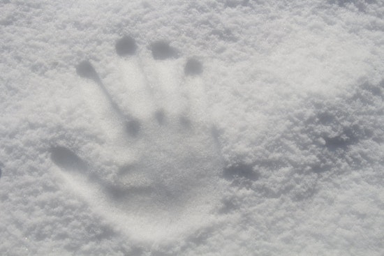 Top Denver news: Mobile market provides free food to students; snowfall totals 30-plus inches; more