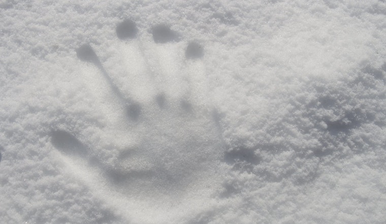 Top Denver news: Mobile market provides free food to students; snowfall totals 30-plus inches; more