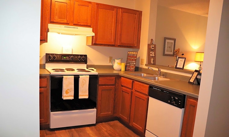 What apartments will $1,300 rent you in Elliot Park, today?