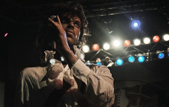 Four hot live shows in Houston this weekend