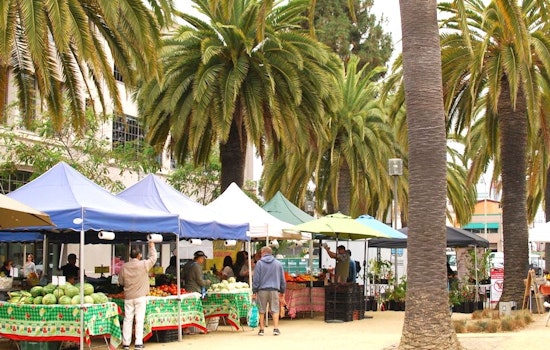 Oakland weekend: First Friday, Dirtybird BBQ, The Buck, More