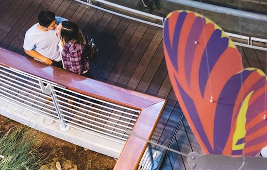 SF weekend: Academy of Sciences Valentine's sleepover, cuddle with goats, tulip festival, more