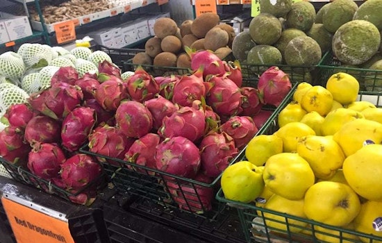 Explore 4 best inexpensive grocery stores in Tampa