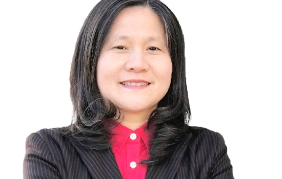 2018 mayoral candidate questionnaire: Ellen Lee Zhou