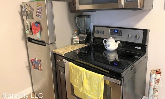 What apartments will $800 rent you in Lower East Side, today?