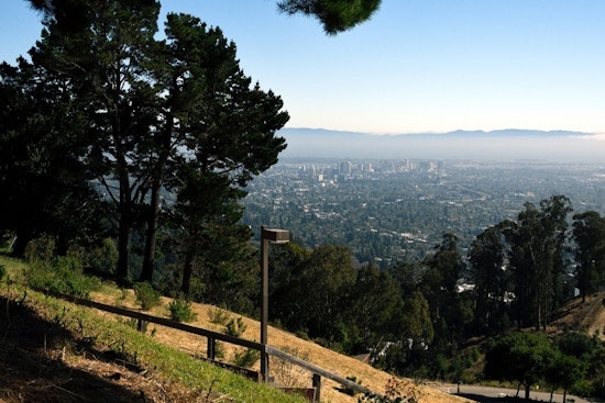 Top Berkeley news: Bakery workers support unionizing; driver dies after hitting light post; more