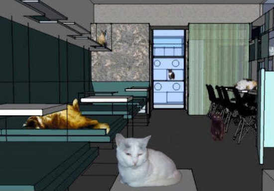 An Early Look At Cat Cafe KitTea's Interior