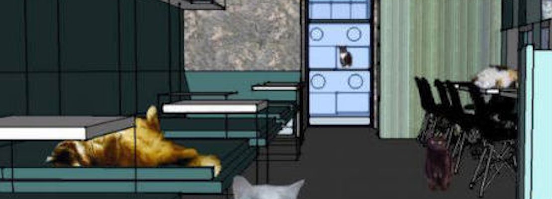An Early Look At Cat Cafe KitTea's Interior
