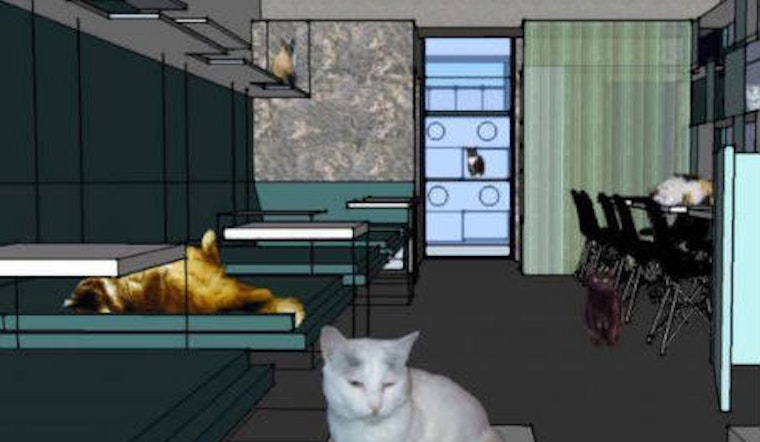 An Early Look At Cat Cafe KitTea's Interior