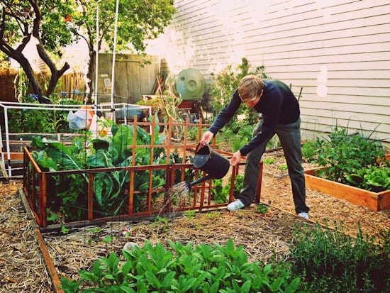 Hey, It's Open Gardens Day