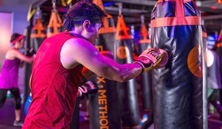 The 4 best boxing spots in Miami