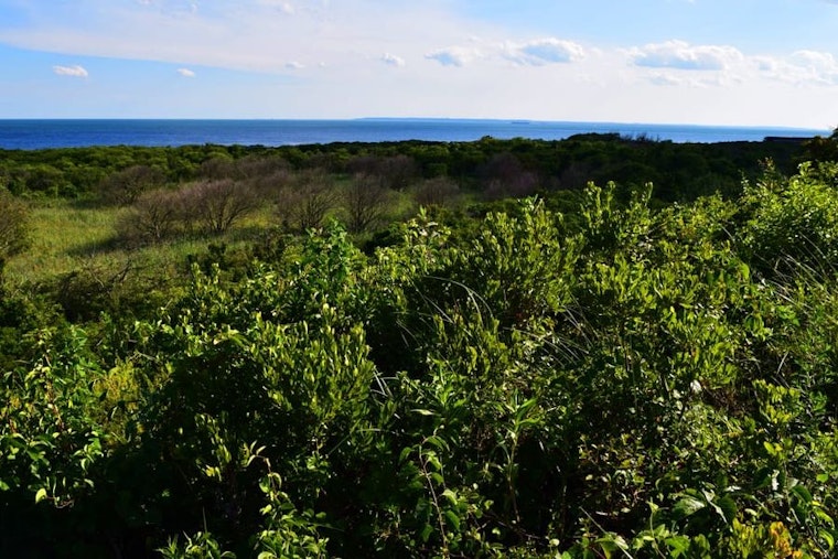 Three outdoorsy events in New York City this week