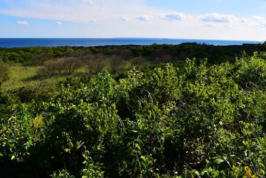 Three outdoorsy events in New York City this week