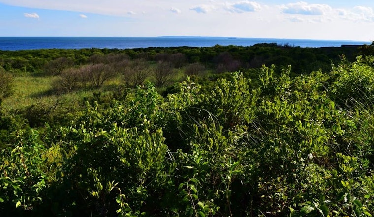 Three outdoorsy events in New York City this week