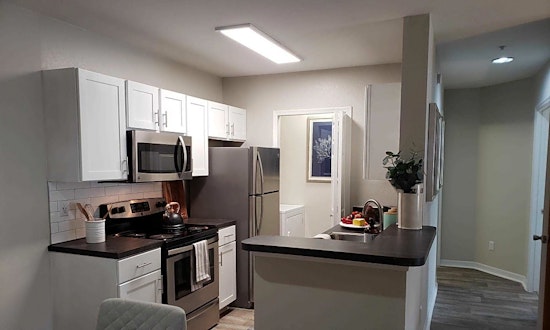What apartments will $1,200 rent you in Beach Haven, this month?