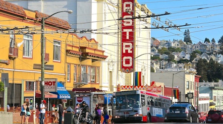 Castro Streetscape Construction Update: Trees, Castro Theatre And More