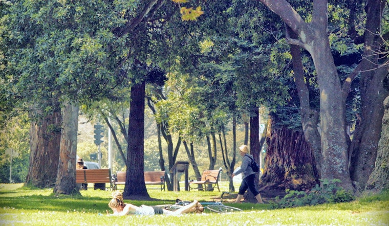 Your Upper Haight Saturday Roundup