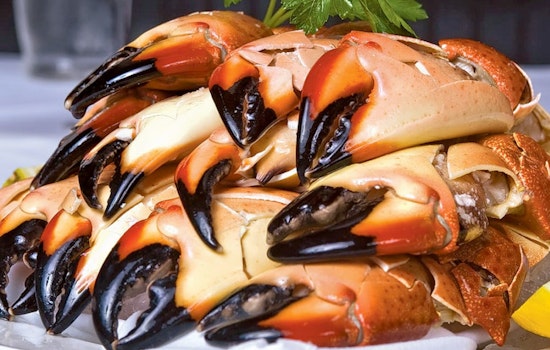 The 4 best spots to score seafood in Austin