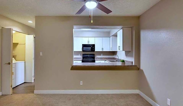 What apartments will $800 rent you in Encanto, right now?