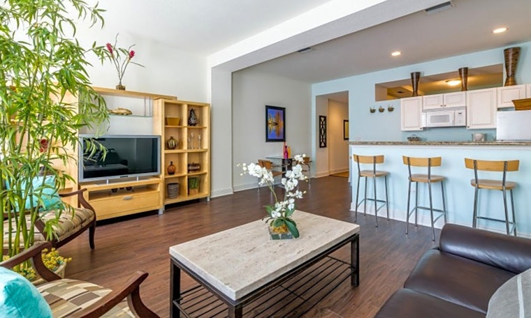 Budget apartments for rent in Downtown, Miami