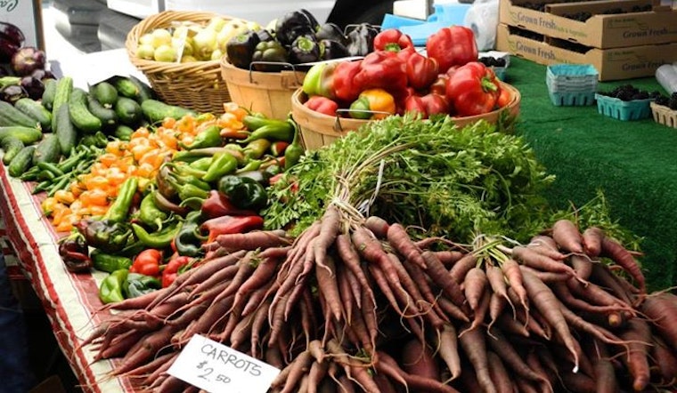 Upper Haight Farmers Market Celebrates With A Harvest Festival Today