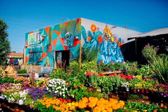 Phoenix's top 4 plant nurseries, ranked
