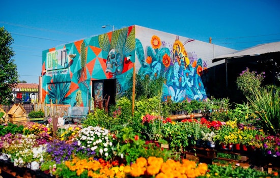 Phoenix's top 4 plant nurseries, ranked