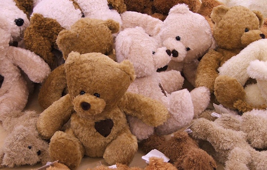 SF weekend: Teddy Bear Clinic; Russian food, music festival; swing dance & bowling party, more