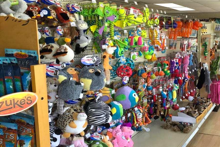 The 4 best pet stores in Orlando