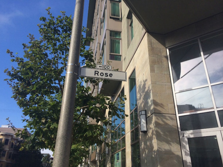 Rose Street Bohemian Block Party Coming Up This Weekend