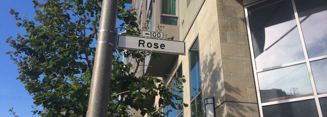 Rose Street Bohemian Block Party Coming Up This Weekend