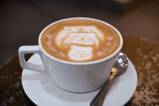 Explore the newest businesses to open in San Francisco