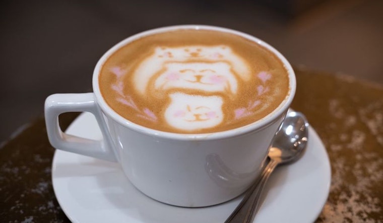 Explore the newest businesses to open in San Francisco