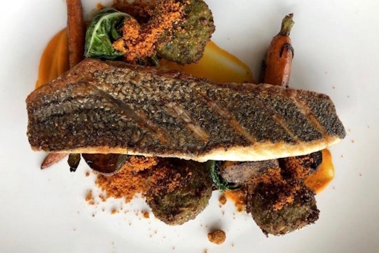 Introducing Denver's 4 best spots to score seafood