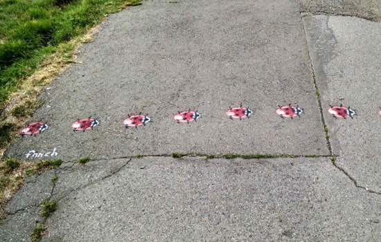 Here Today, Gone Tomorrow: Alamo Square's Ladybug Art