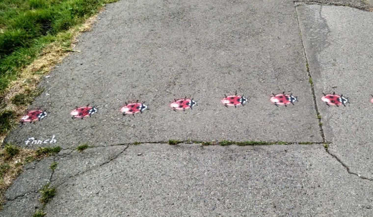 Here Today, Gone Tomorrow: Alamo Square's Ladybug Art