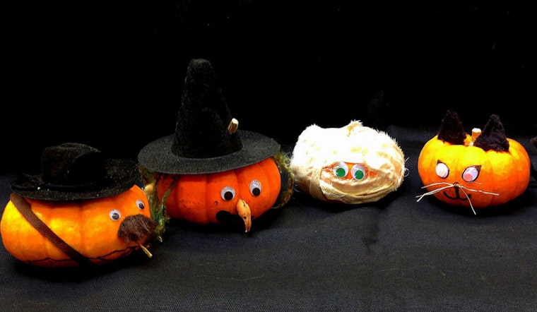 Upper Haight Weekend Odds & Ends: Crime, Halloween Preparations And More